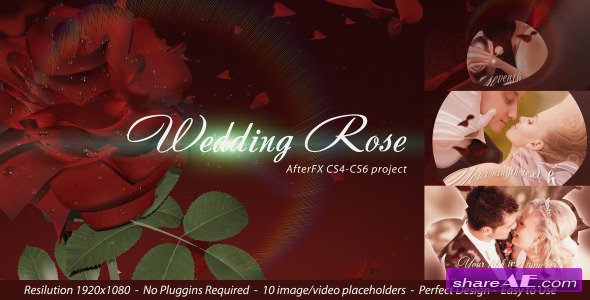 Wedding Rose - Project for After Effects (Videohive)