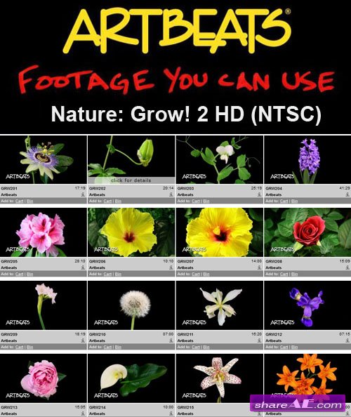 Artbeats - Nature: Grow! 2 HD (NTSC)