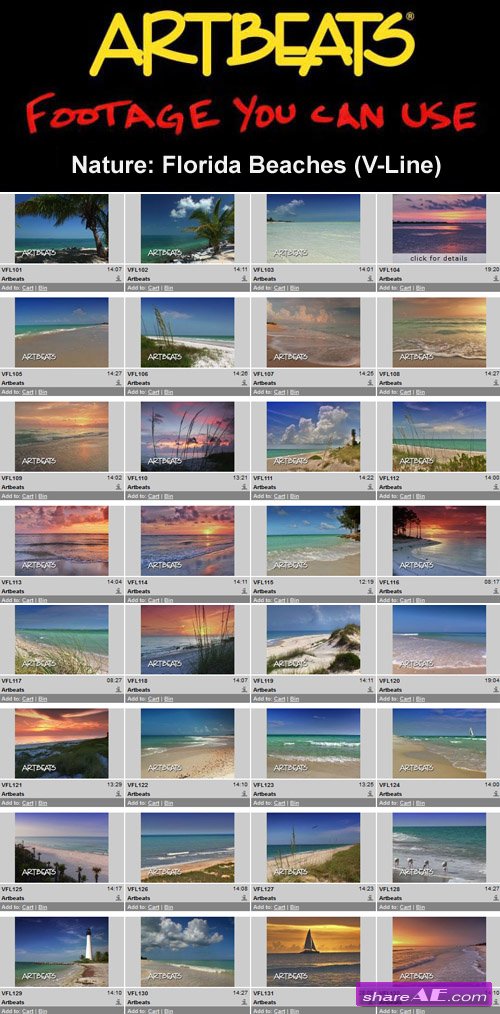 Artbeats - Nature: Florida Beaches (V-Line) (NTSC)