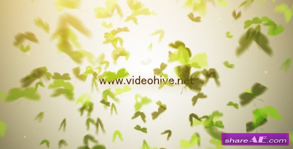 Butterfly Logo - After Effects Project (Videohive)