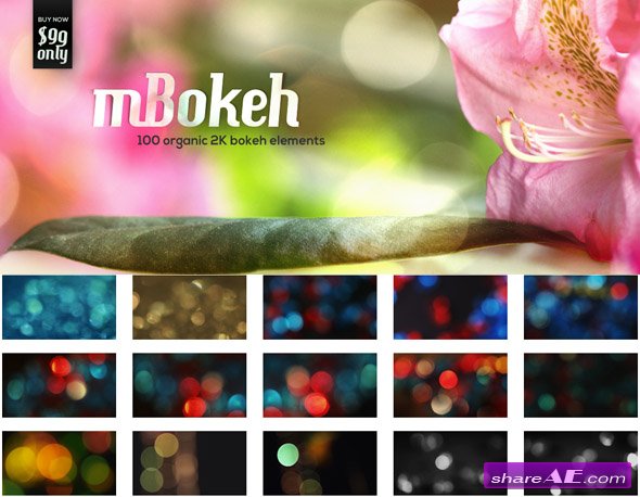 motionVFX - mBokeh - 100 Organic 2K Bokeh Elements - H264 Compressed