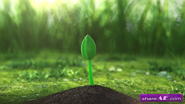 Growing Flower - After Effects Project (Videohive)