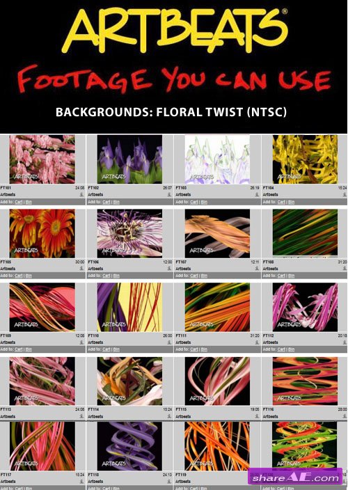 Artbeats - Backgrounds: Floral Twist (NTSC)