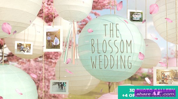 Videohive The Blossom Wedding - Photo Gallery Slideshow