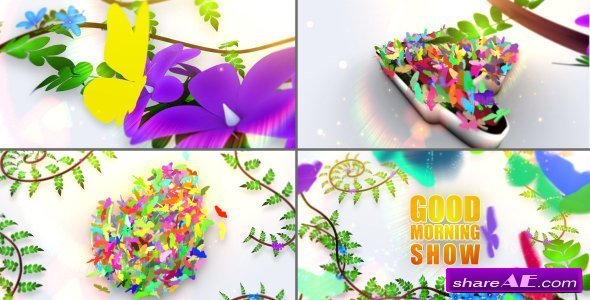 Videohive Morning Theme Package