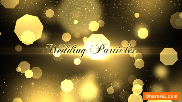 Videohive Wedding Particles Opener