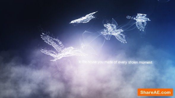 Videohive Concept of Freedom