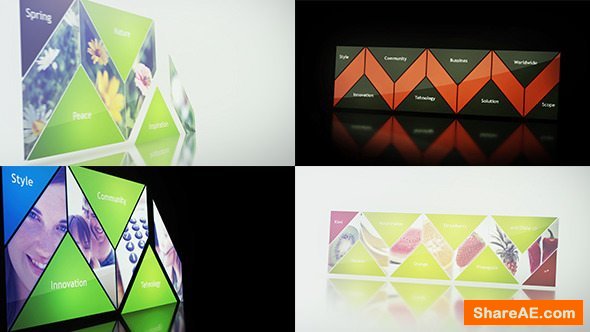 Videohive Multifunctional Logo Reveal