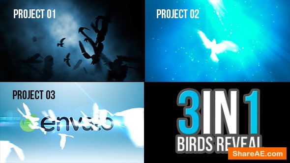 Videohive 3 in 1 Birds Reveal