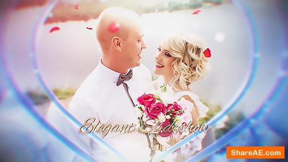 Videohive Wedding 19810516