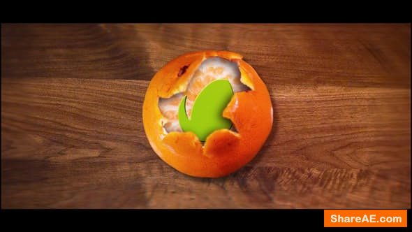 Videohive Tangerine Logo
