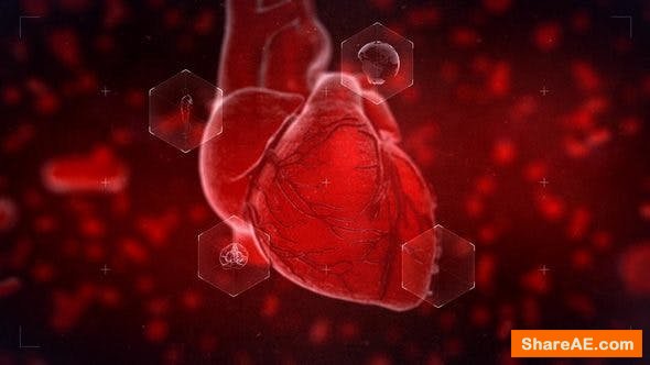 Videohive Heart Reveal