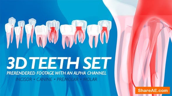 Videohive 3D Teeth Set