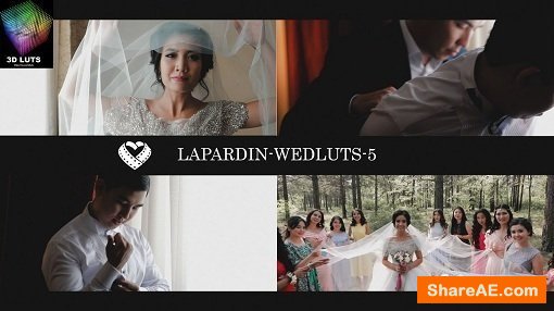 LAPARDIN WEDLUTS - Romantic Wedding LUTs for AE, PS, Premire, Resolve and FCP X and etc...