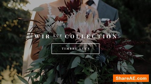 White In Revery – Timbre LUTs – Professional Color Grading LUTs 
