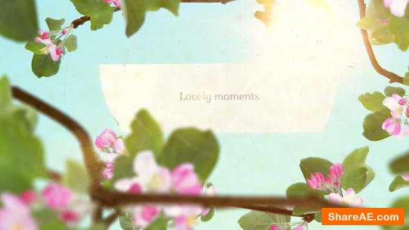 Videohive Lovely Moments