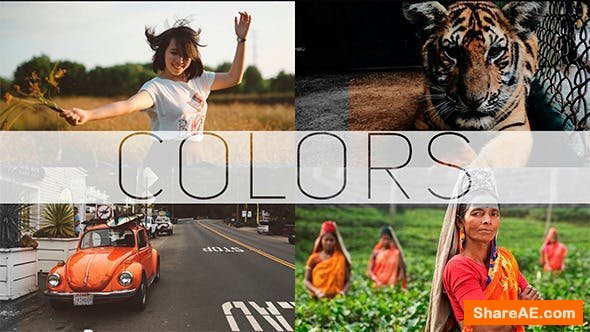 Videohive COLORS - Photo/Video Gallery