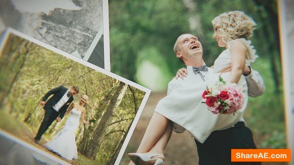 Videohive Wedding 23630740