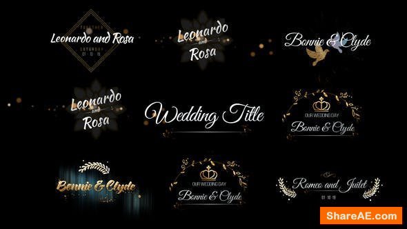 Videohive Six Beautiful Wedding Title