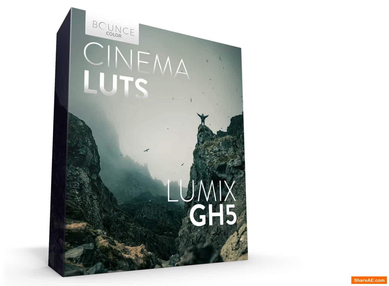 CINEMTIC LUTs V-LOG for Premiere - Bouce Color