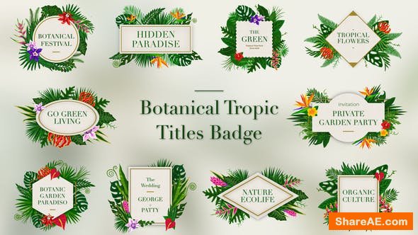 Videohive Tropical Titles Badge