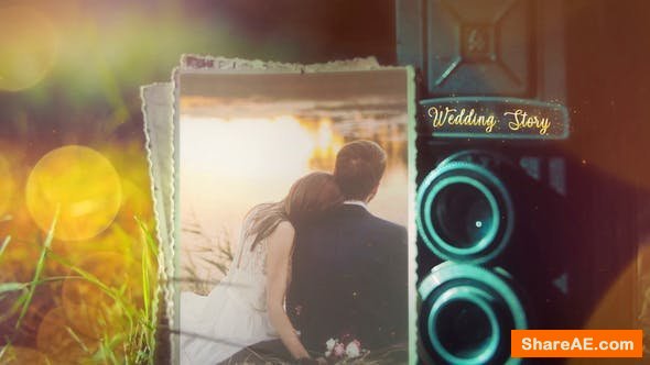 Videohive Wedding 24310524