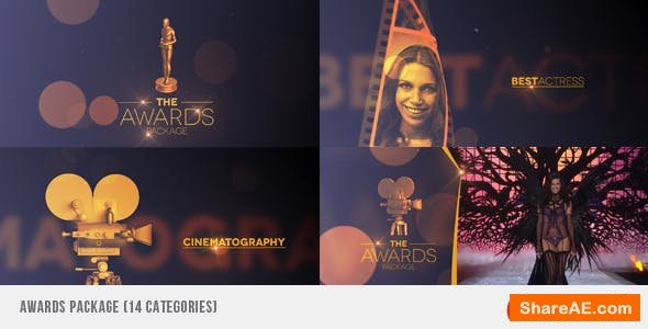 Videohive Awards Package 7053845