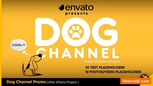 Videohive Dog Channel Broadcast Pack