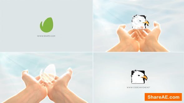 Videohive Logo In Hands