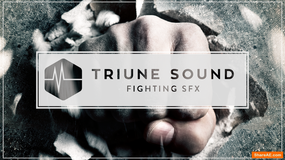 Fighting SFX - Triune Digital