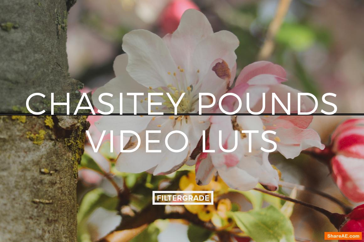 Chasitey Pounds Video LUTs - Filtergrade