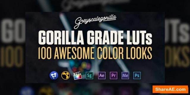 Gorillla Grade LUTs