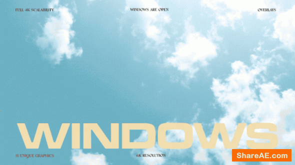 Windows - Ezra Cohen